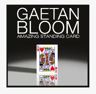 2013 Amazing Standing Card by Gaetan Bloom (Download)
