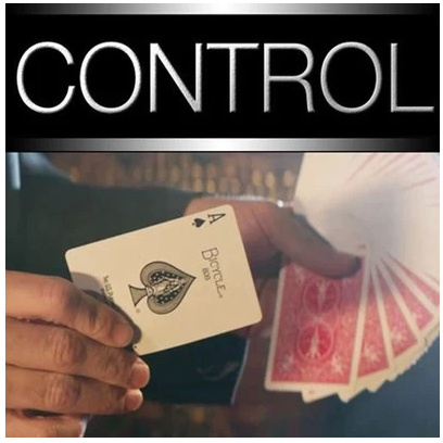 2014 Control The Ultimate 13 Card Controls (Download)