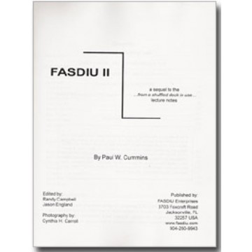 FASDIU II (From a Shuffled Deck in Use) by Paul Cummins