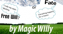 Fate or Free Will by Magic Willy