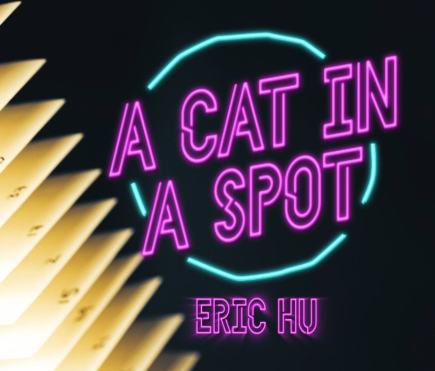 Eric Hu - A Cat in a Spot (Video Download)