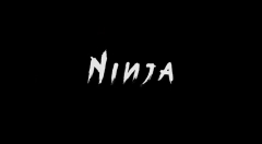 Ninja by Alex Zhan & TCC (Chinese Lanuage MP4 Video Download FullHD Quality)