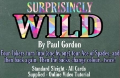 Surprisingly Wild by Paul Gordon (MP4 Video Download)