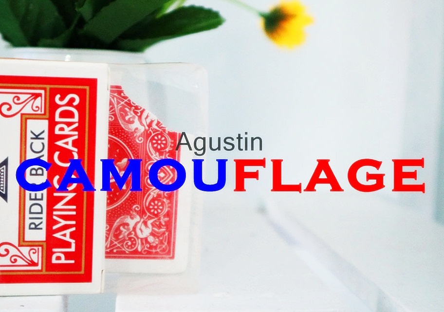 Camouflage by Agustin (MP4 Video Download)