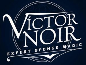Expert Sponge Magic by Victor Noir (Video Download)