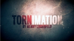 Menny Lindenfeld - Tornimation (MP4 Video Download)
