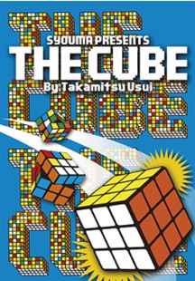 Takamitsu Usui - The Cube