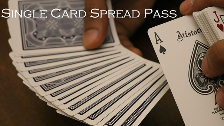 Single Card Spread Pass by Vivek Singhi