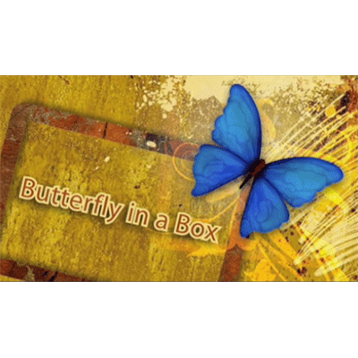 Butterfly In a Box by Mark Presley