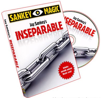 Jay Sankey - Inseparable (Video Download)
