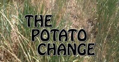 Theory11 - Gerald Robinson - Potato Change