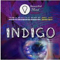 INDIGO by Beautiful Mind Magic (Video Download)
