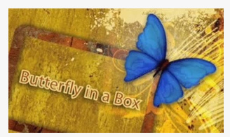 2012 Butterfly In a Box by Mark Presley (Download)