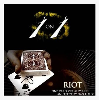 08 Theory 11 Dan Hauss - RIOT (Video Download)