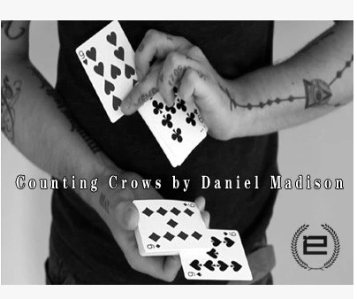 2014 Counting Crows by Daniel Madison (Download)