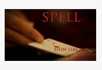 2011 T11 WIRE SPELL by Shin Lim (Download)
