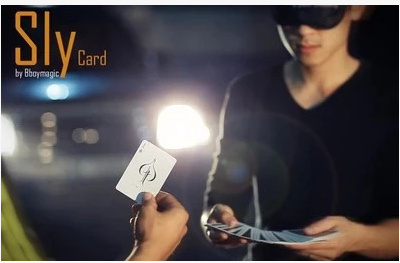 2015 Sly Card by Bboymagic (Download)