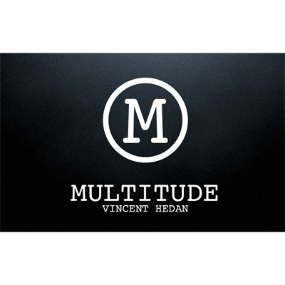 2015 Multitude by Vincent Hedan & System 6 (Download)