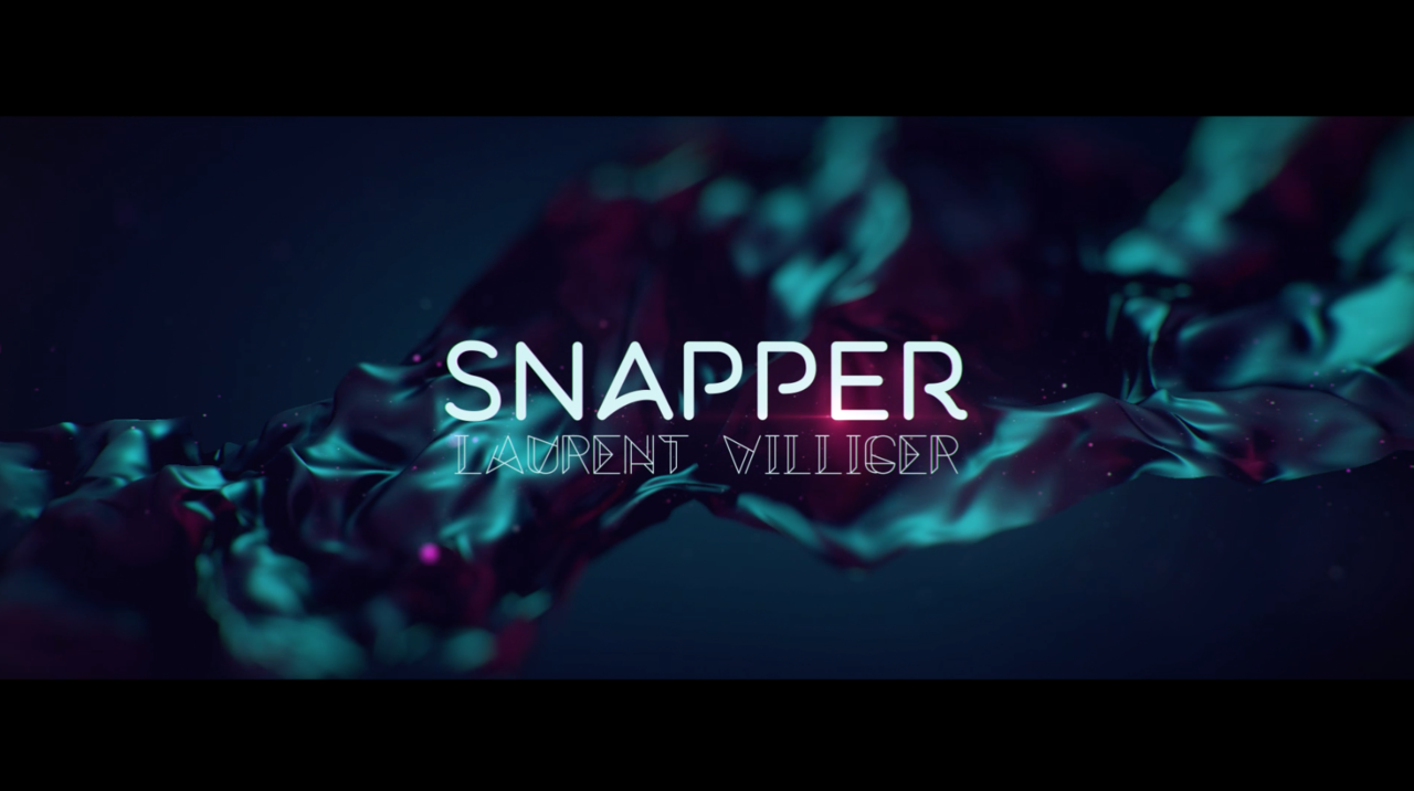 2016 SNAPPER by Laurent Villiger