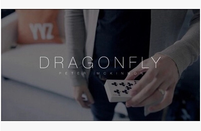 2014 Dragon Fly by Peter Mckinnon (Download)