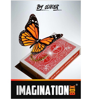 Imagination Box by Olivier Pont