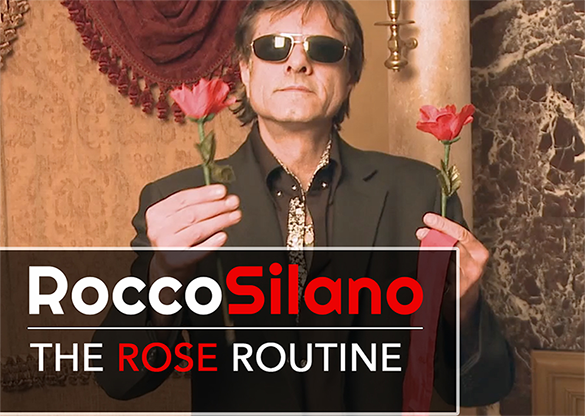 The Rose Routine by Rocco