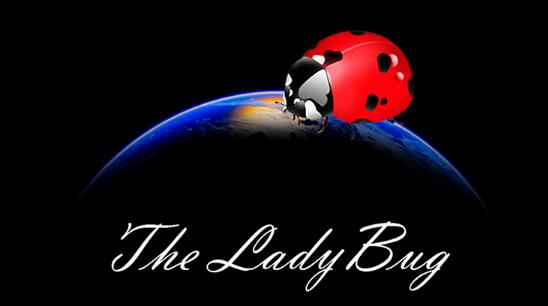 The Ladybug by Hugo Valenzuela