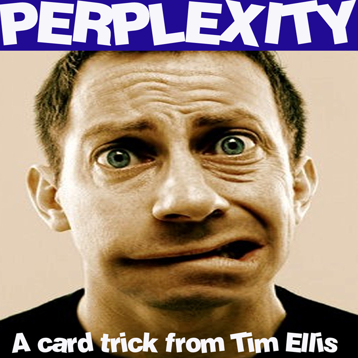 Tim Ellis - PERPLEXITY