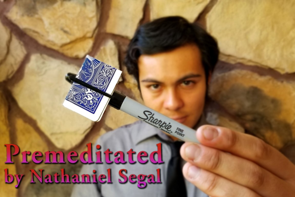 Premeditated by Nathaniel Segal (Instant Download)