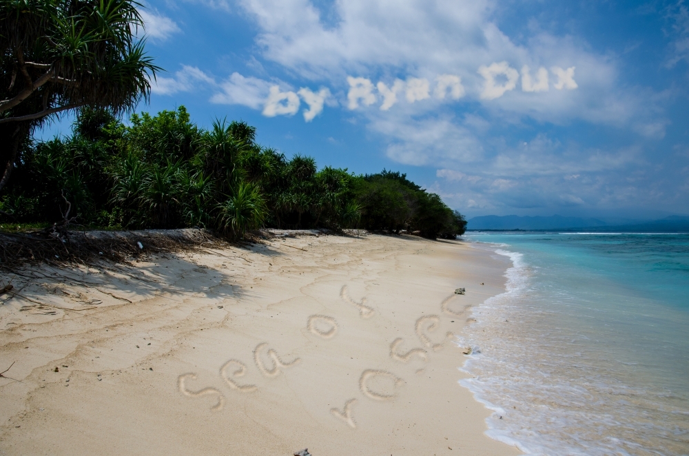 Ryan Dux - Sea of roses (Instant Download)