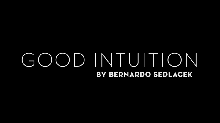 Bernardo Sedlacek - Good Intuition