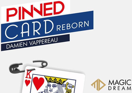 Damien Vappereau - Pinned Card Reborn