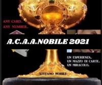 Stefano Nobile - TRAVEL A.C.A.A.N.. 2021