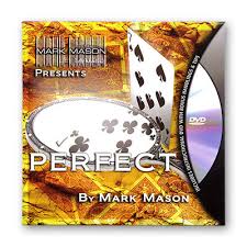 Perfect by Mark Mason