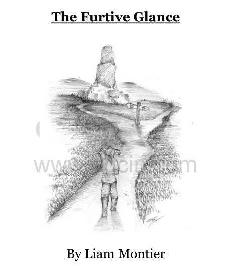 The Furtive Glance by Liam Montier PDF