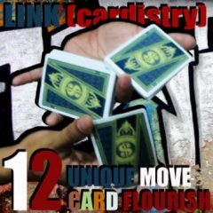 Link (Cardistry Project) by SaysevenT