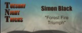 Forest Fire Triumph by Simon Black (Video Download)