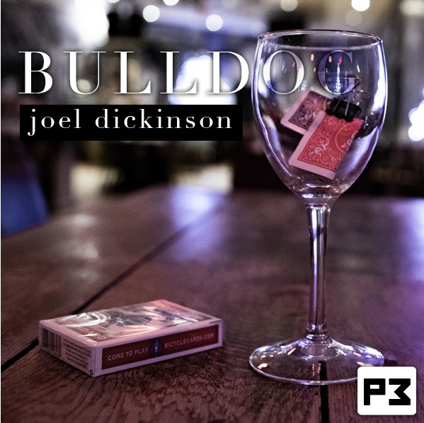 Bulldog by Joel Dickinson (Video Download)