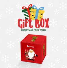 Gift Box by SansMinds Creative Lab (Video + PDF Download)