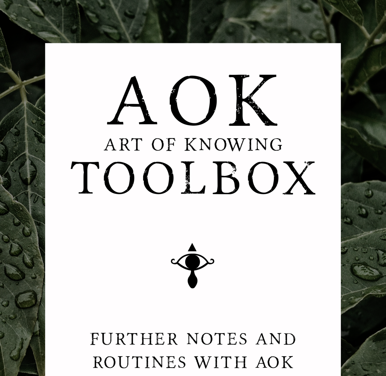 AOK Toolbox by Lewis Le Val (PDF Download)