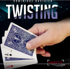 Twisting by Dominique Duvivier (MP4 Video Download)