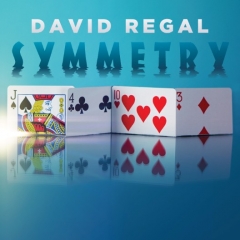 David Regal - Symmetry (MP4 Video Download)
