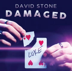 Damaged by David Stone (MP4 Video Download)