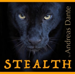 Stealth by Andreas Dante (MP4 Video Download, App not included)