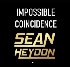 Impossible Coincidence by Sean Heydon (MP4 Video Download)