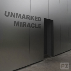 Unmarked Miracle by R. Paul Wilson (MP4 Video Download)