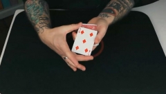 Adam Wilber - 5 Card Stomper (MP4 Video Download FullHD Quality)