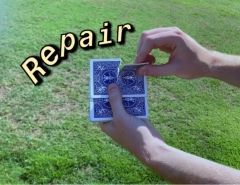 Repair by Thomas Sladky (MP4 Video Download)