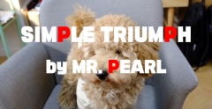 Mr. Pearl - Simple Triumph (MP4 Video Download High Quality)