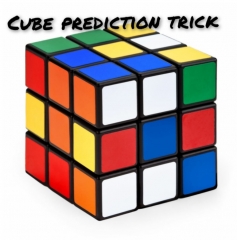 Impromptu Cube Prediction by MaxMagie (MP4 Video + PDF Full Download)